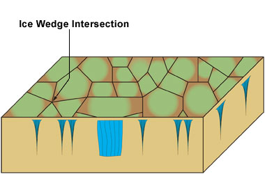 Diagram illustrating a cross-cut of an ice wedge polygonal ground.