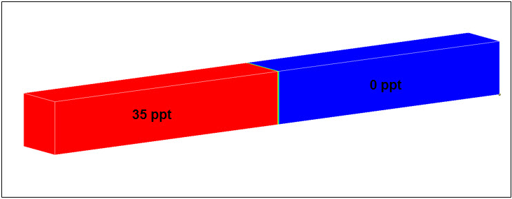 Lock exchange initial salinity 