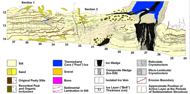 Diagram of ecosystem for Sections 1 and 2.