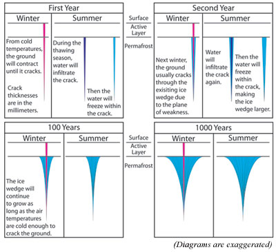 Diagram of the ice wedge formation.