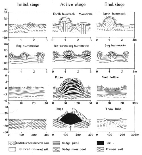 Diagram showing lifecycles of hummocks, pingos, and palsas.