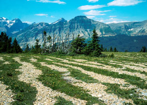 Photo shows sorted stripes in its lower half, taken at Glacier National Park in Montana.