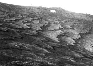 Photo shows an example of solifluction lobes near Chicken Creek, Alaska.