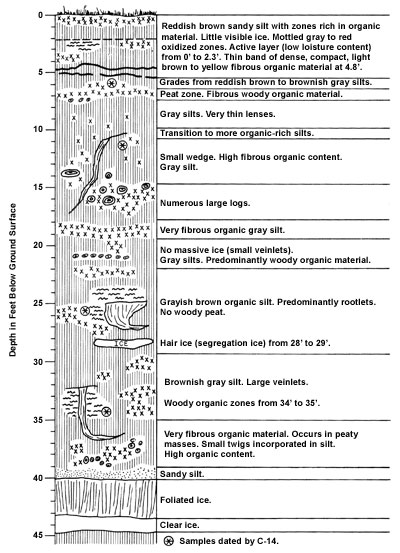 Diagram of the geology of the Permafrost Tunnel.