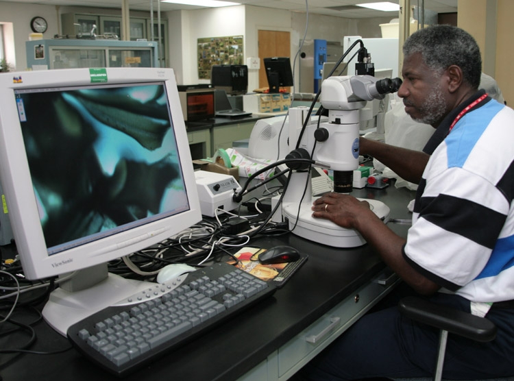 Studying invasive species at ERDC’s Environmental Lab.